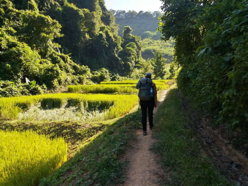 Luang Prabang: 3-Day Cultural Remote Trek With Homestay - A Detailed Look at the 3-Day Trek Experience