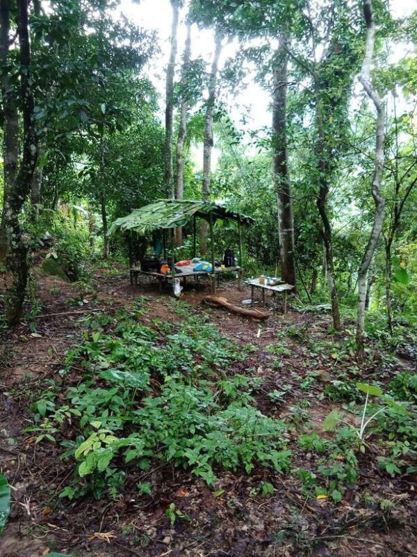 Luang Prabang: 3 Days Ethnic and Forest Living - Mountain - FAQs