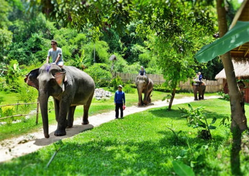 Luang Prabang: 4 Day 3 Nights Guide Tour - A Deep Dive into the Luang Prabang Experience