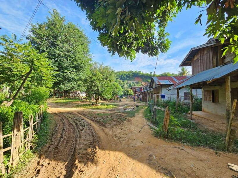Luang Prabang: Authentic Lao Village & Farm Experience Day - Who Would Love This Tour?