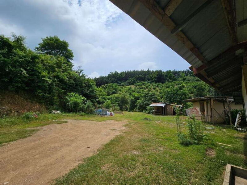 Luang Prabang: Authentic Lao Village & Farm Experience Day - Final Thoughts: Is It Worth It?