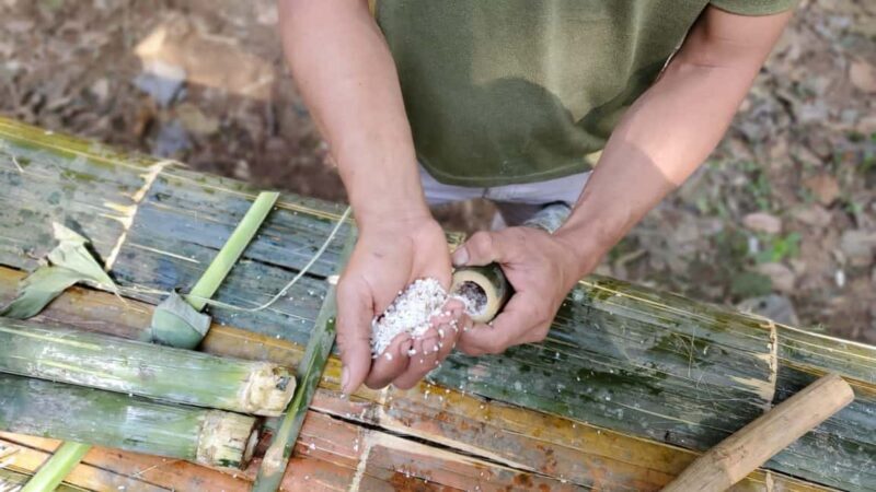 Luang Prabang: Bamboo Forest Cooking-class & Farm Visit - Who Will Love This Tour?