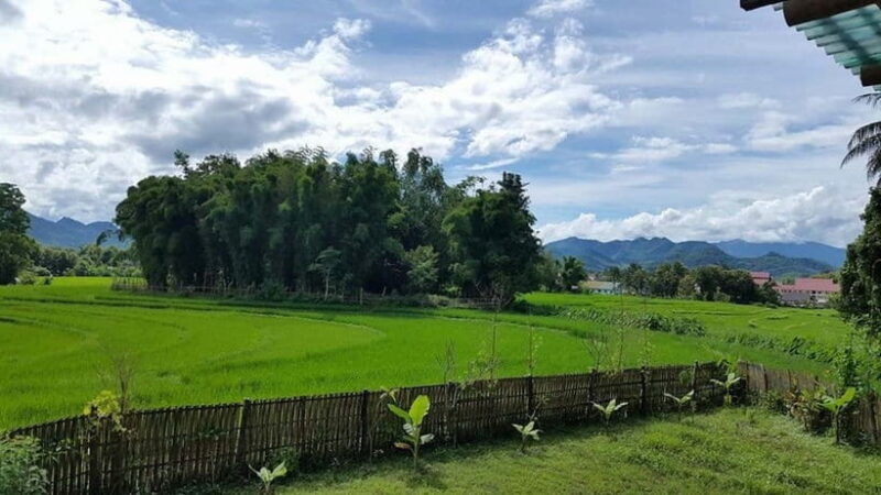 Luang Prabang: Evening Cooking Class & Local Baci Ceremony - Who is This Tour Best For?