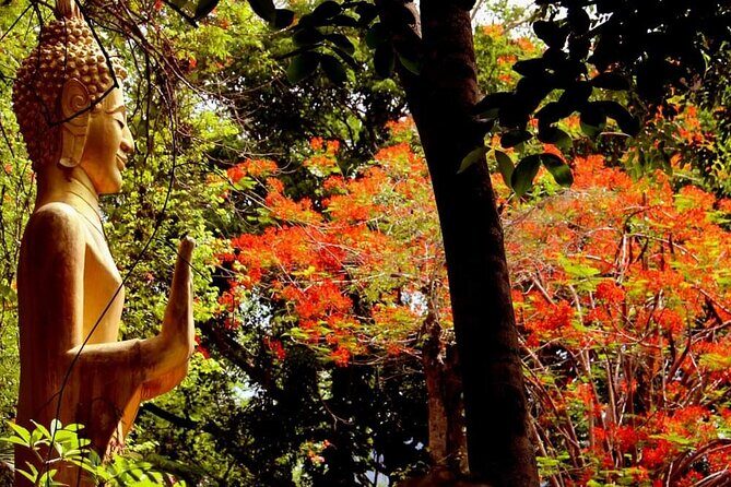 Luang Prabang Foodie Walking Tour and Monk Blessing - Who Will Love This Tour?