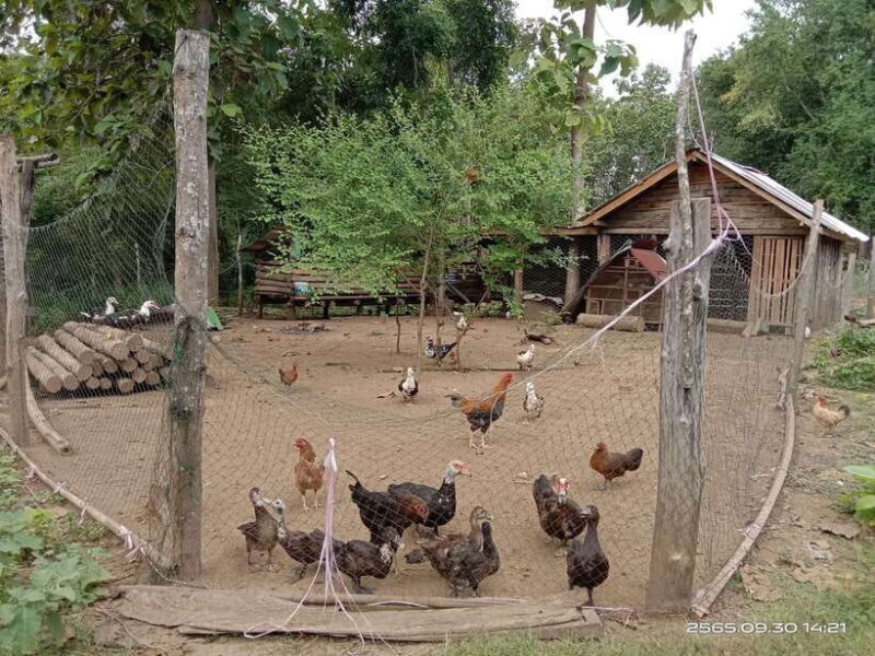 Luang Prabang: Hiking Off the Beaten Track with Picnic Lunch - Authenticity and Unique Value