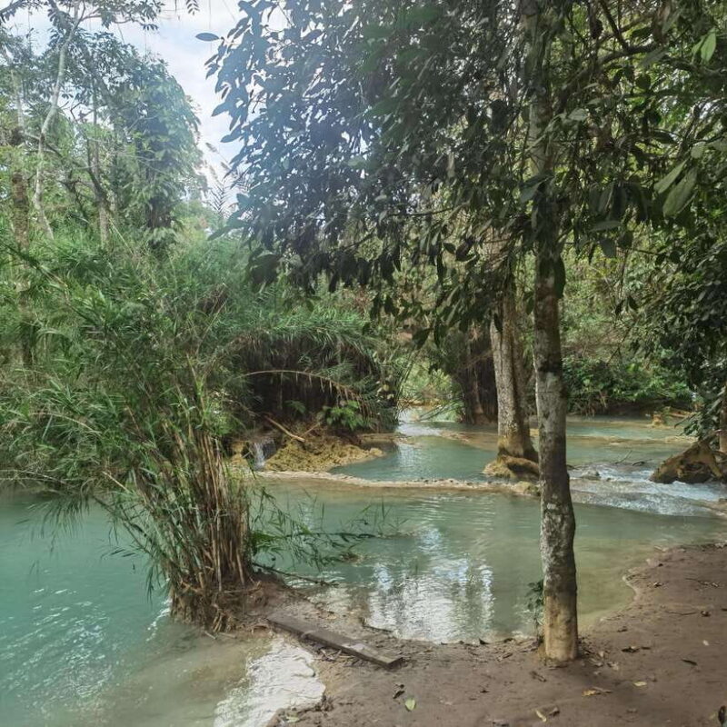 Luang Prabang: Kuang Si Falls, River Tracing Hiking - Who Should Consider This Tour?