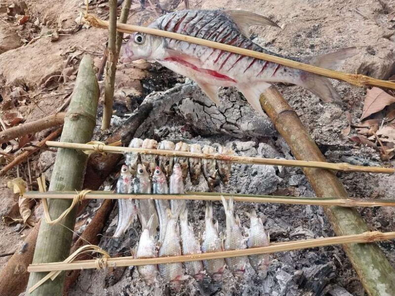 Luang Prabang: Mekong Fishing with a Local Fisherman & Lunch - Why this tour resonates with travelers