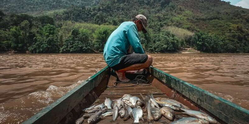 Luang Prabang: Mekong Fishing with a Local Fisherman & Lunch - The Sum Up