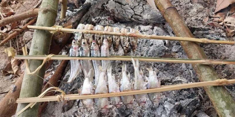 Luang Prabang: Mekong Fishing with a Local Fisherman & Lunch - FAQ