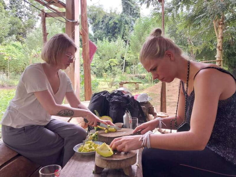 Luang Prabang: Organic Farm Experience & Hike to Kuang si - Frequently Asked Questions