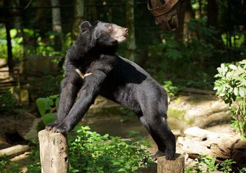 Luang Prabang: Pak Ou Caves & Kuang Si Falls Day Trip - Who Will Love This Tour?