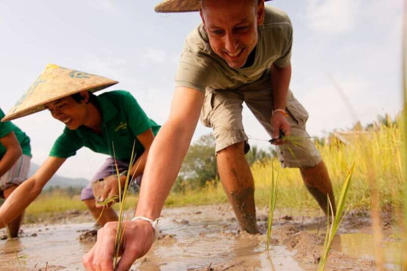 Luang Prabang: Rice Farm and Kuang Si Waterfall Tour - Why This Tour Offers Great Value