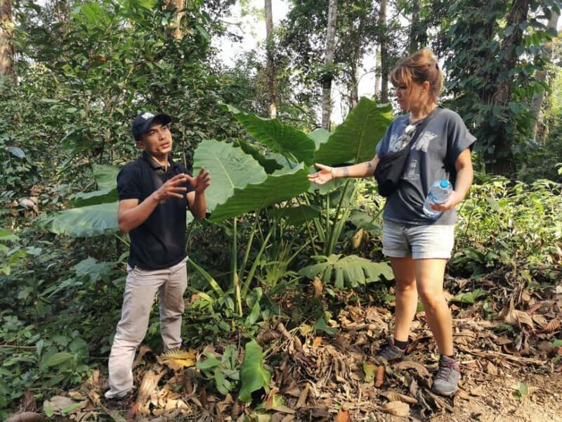 Luang prabang: Survival course in the primary forest. - Final Thoughts: Who Will Love This?
