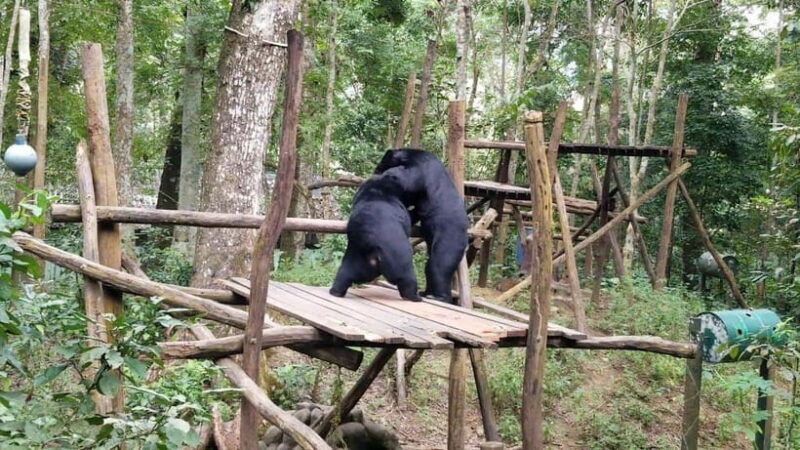 LUANG PRABANG WILDLIFE SANCTUARY - HMONG TRIBE VILLAGE - The Journey from Luang Prabang to the Sanctuary