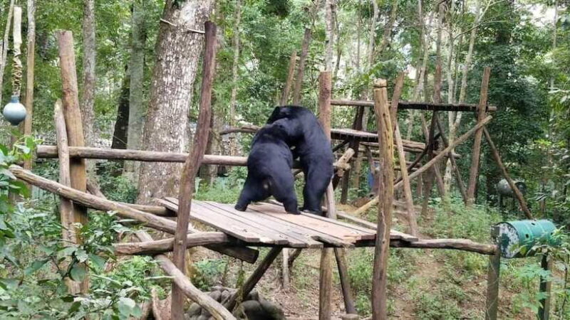 LUANG PRABANG WILDLIFE SANCTUARY - HMONG TRIBE VILLAGE - Practical Tips for Making the Most of the Tour