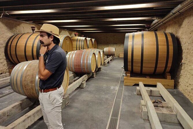 Luberon and Chateauneuf du Pape Wine Tour - Final Words: Is It Worth It?