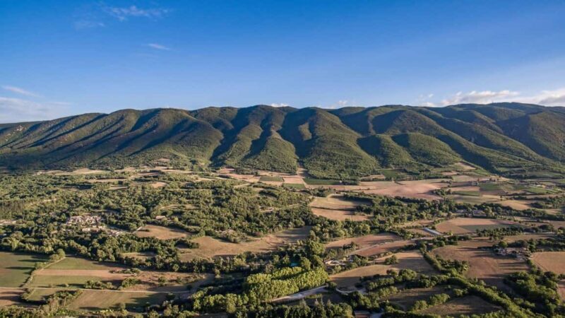 Luberon: Full-Day Wine Tour from Marseille - Key Points