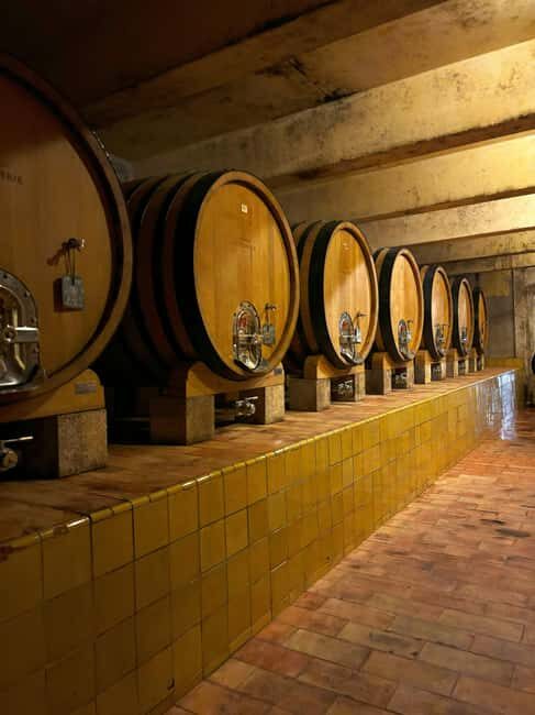 Luberon: Full-Day Wine Tour from Marseille - What to Expect on the Full-Day Luberon Wine Tour