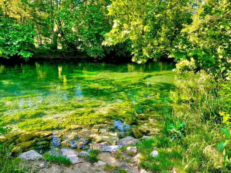 Luberon, Roussillon & Gordes Half-Day Tour from Avignon - Fontaine de Vaucluse: The Spring Marvel