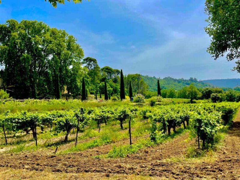 Luberon, Roussillon & Gordes Half-Day Tour from Avignon - Optional Market Visits