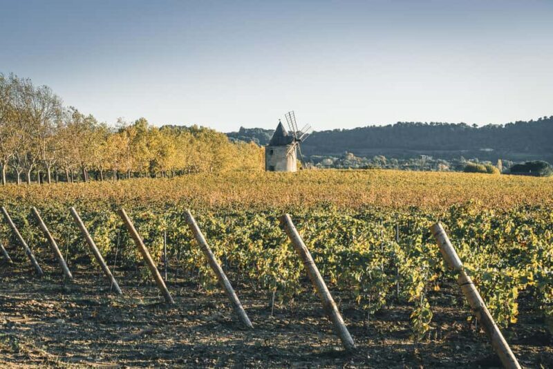 Luberon: visite de la Vigne au Verre et dégustations - Key Points