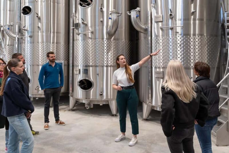 Luberon: visite de la Vigne au Verre et dégustations - Who Should Consider This Tour?