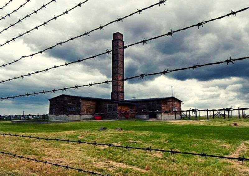 Lublin & Majdanek Small-Group Tour from Warsaw with Lunch - The Value of This Experience