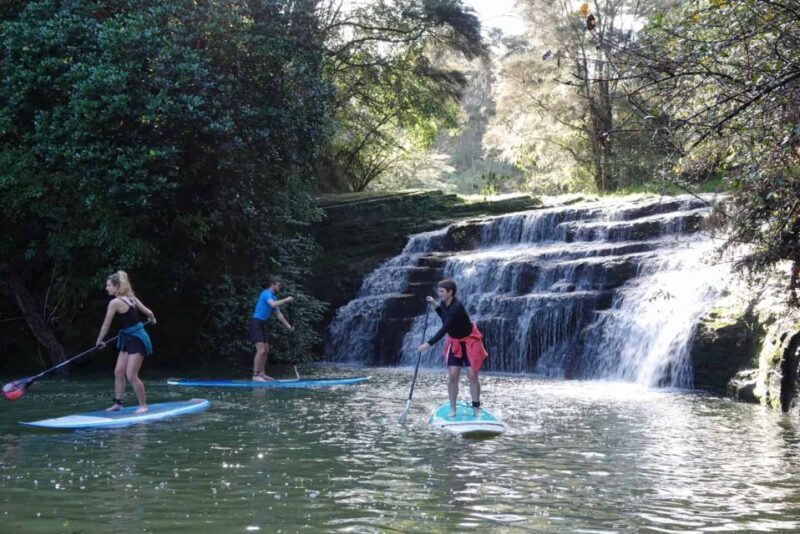 Lucas Creek Waterfall SuP Tour - A Perfect Introduction to Albany’s Waterways