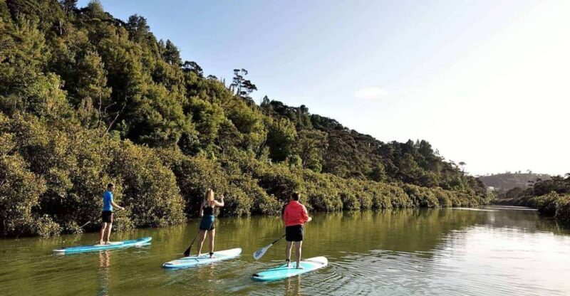 Lucas Creek Waterfall SuP Tour - What Makes This Experience Stand Out