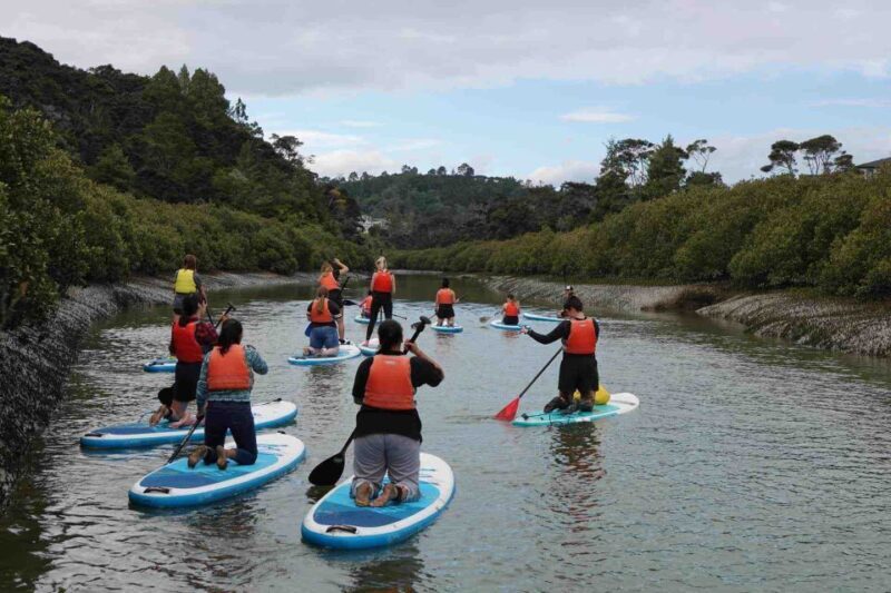 Lucas Creek Waterfall SuP Tour - Authentic Experiences and Customer Feedback