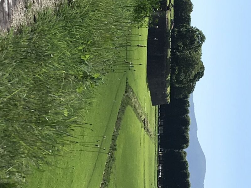 Lucca: Renaissance City Walls Walking Tour - Exploring Luccas Renaissance City Walls: A Walk to Remember