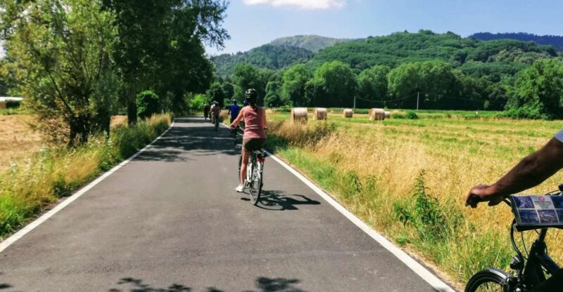 Lucca: Self-Guided Bike Tour to the Wine Roads - Considerations and Downsides