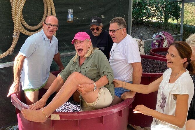 Lucca Tour and Pisa Tower + WineTasting by van from La SpeziaPort - A Deep Dive into the Tour Experience