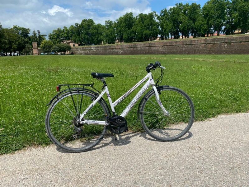 Lucca: Trekking Bike Rental - Discover Lucca on a Trekking Bike: An Authentic Ride Through Tuscany