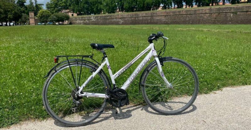 Lucca: Trekking Bike Rental - Authentic Experiences from Fellow Riders
