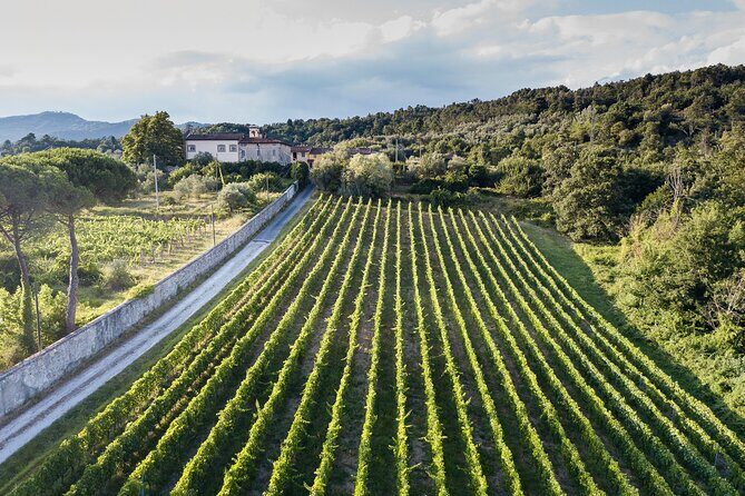 Lucca - Wine tasting at Tenuta Mareli - Final Thoughts
