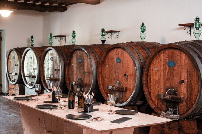 Lucca: Wine Tasting Experience - Tenuta Adamo Winery - The Sum Up: Is It Worth It?