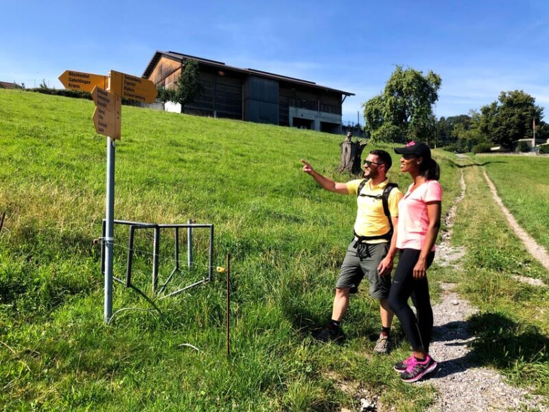 Lucerne: Farm Tour and Cheese Tasting - An In-Depth Look at the Lucerne Farm Tour and Cheese Tasting