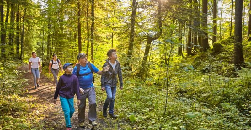 Lucerne: Guided hike on the Pilatus with barbecue experience - Final Thoughts: A Swiss Mountain Adventure with Authentic Flavor
