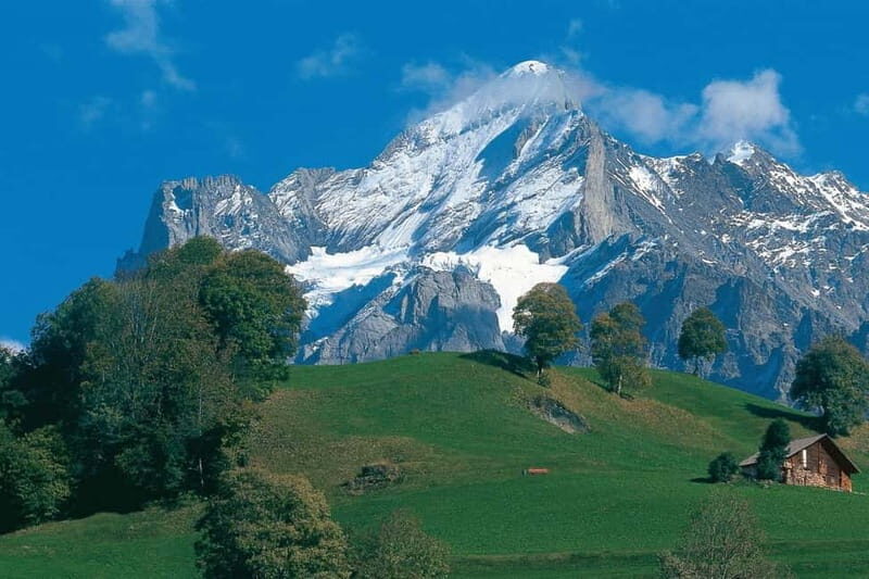 Lucerne: Interlaken and Grindelwald Swiss Alps Day Trip - FAQ