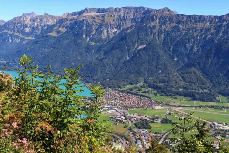 Lucerne: Interlaken & Grindelwald Exclusive Private Day Tour - An In-depth Look at the Tour Experience