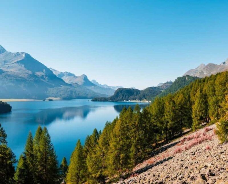 Lucerne: Private day Trip to St. Moritz - Practical Details and Insights