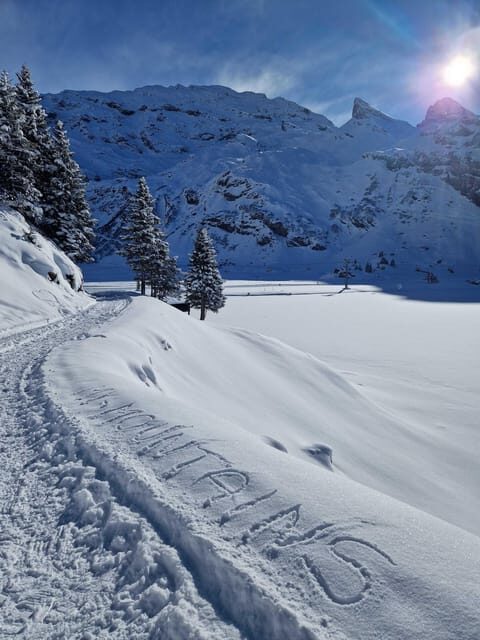 Lucerne: Private Snowshoe Tour - An In-Depth Look at the Lucerne Private Snowshoe Tour