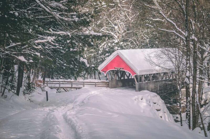 Lucerne: Snowshoe Hiking Adventure to Glaubenberg Langis - An Authentic Snowshoe Experience in the Swiss Alps