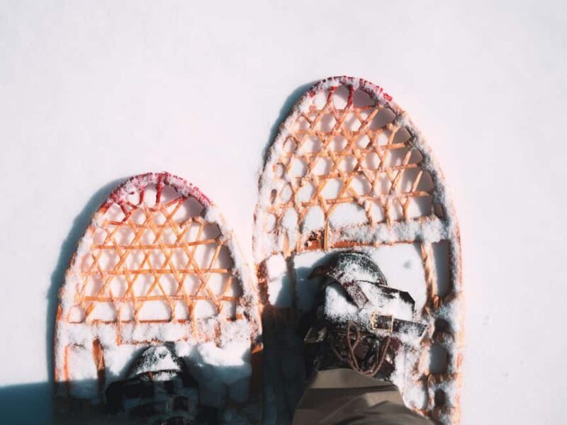 Lucerne: Snowshoe Hiking Adventure to Glaubenberg Langis - The Sum Up