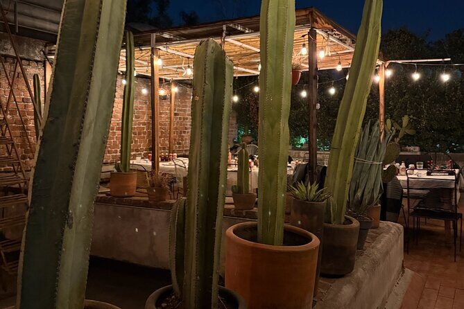 Lucha Libre VIP Meet and Greet - Who Should Consider This Tour?