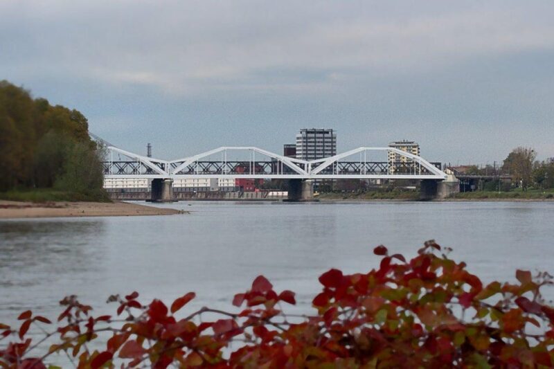 Ludwigshafen am Rhein Private Guided Walking Tour - An In-Depth Look at the Ludwigshafen Private Guided Walking Tour