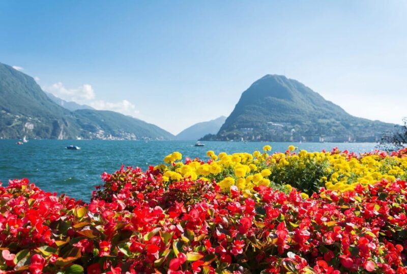 Lugano Highlights: A Guided Walking Adventure - Pricing and Value
