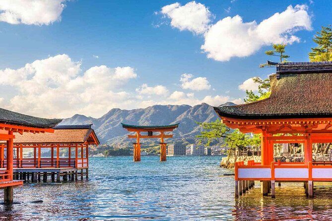 Luggage Pick NARITA or HANEADA airport & Deliver Tokyo 32 Ward - Key Points