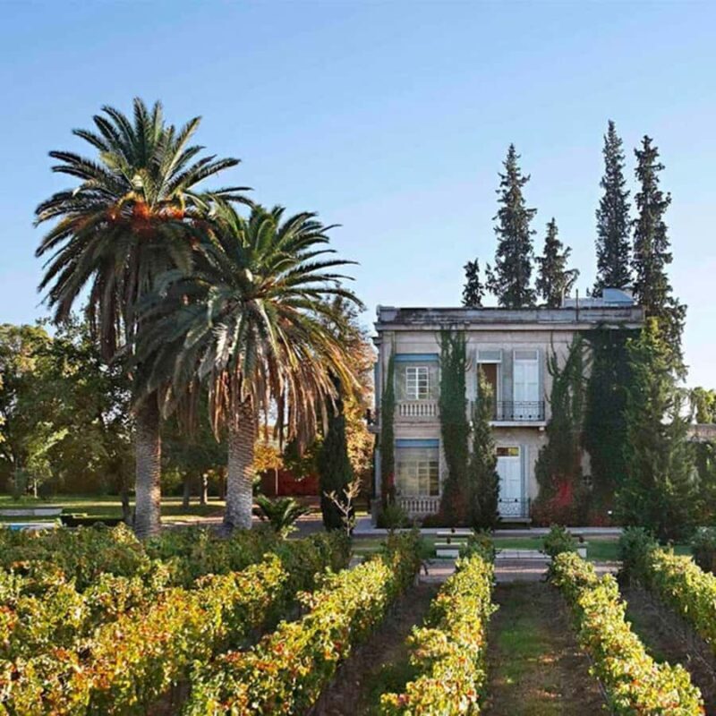 Luigi Bosca Winery Tour with Wine Tasting and Lunch - A Deep Dive into the Experience